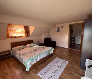 Bistrita Bargaului House | Casa Iris Colibita