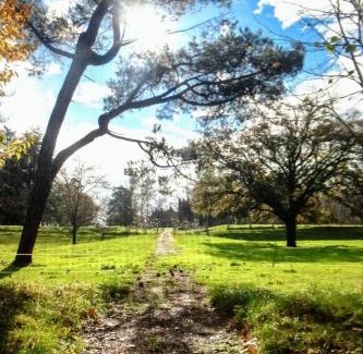 Pedredo House | Casa junto a Reserva del Saja, bosque y montaña