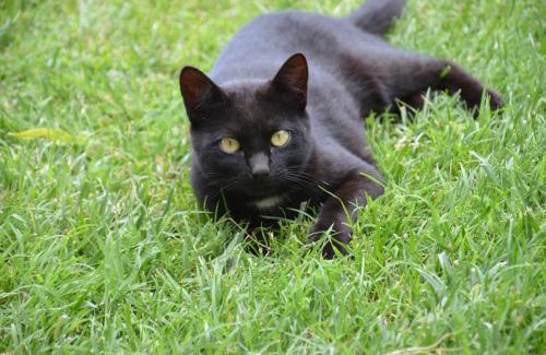 Fuentespalda House | Casa LLovet