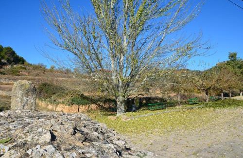 Fuentespalda House | Casa LLovet