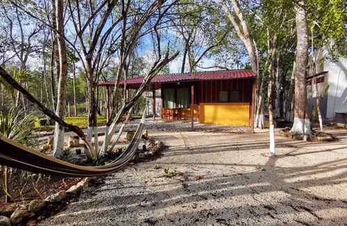 Xpujil Cabin | Casa Lola, enjoy the jungle with all the comforts.