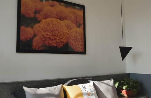 Zona Minerva House | CASA LUMBA