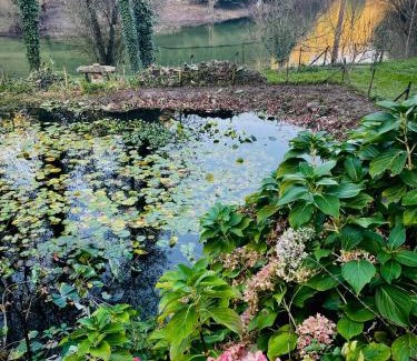 Beijos House | Casa mémé