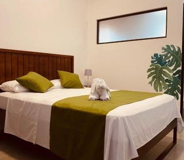 Barrio Pilo House | Casa Macaw