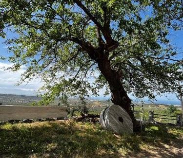 Rossano House | Casa Maria Host Green - Casa vacanze - Rossano