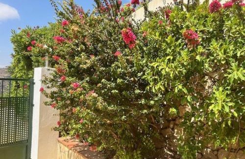 Torrox House | Casa Marlotte