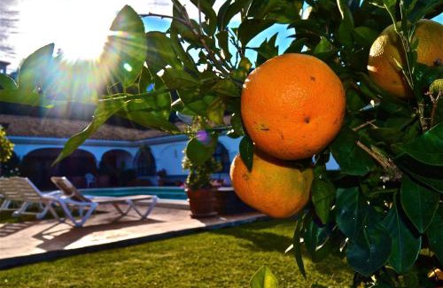 New Golden Mile Villa | CASA MICHAEL - El Paraiso, Marbella
