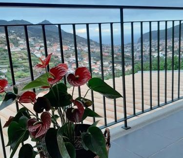 Machico House | Casa Miguel