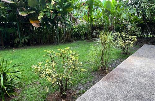 Puerto Jimenez House | Casa Osa Lion
