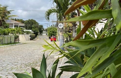 Portinho House | Casa Palmer