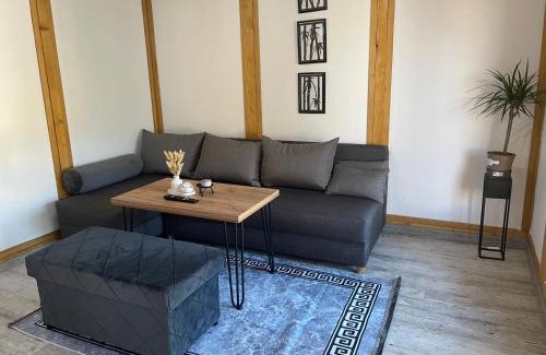 Tuzla House | Casa Panonnica
