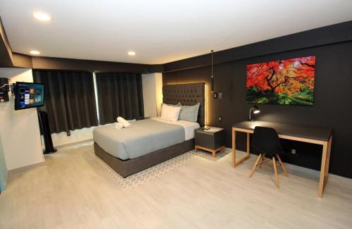 Roma Norte Apartment | Casa Romita