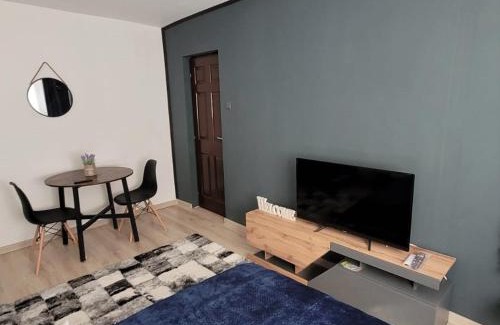 Resita Apartment | Casa Rusu -Moroasa-Self check in-24h Netflix