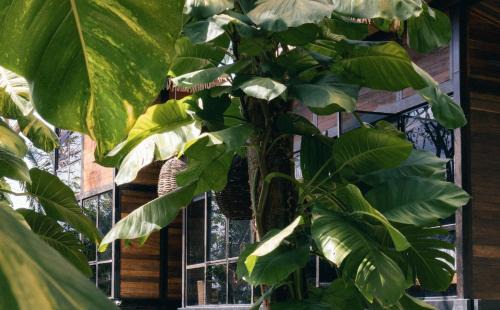 North End Hotel | Casa Selva Sayulita