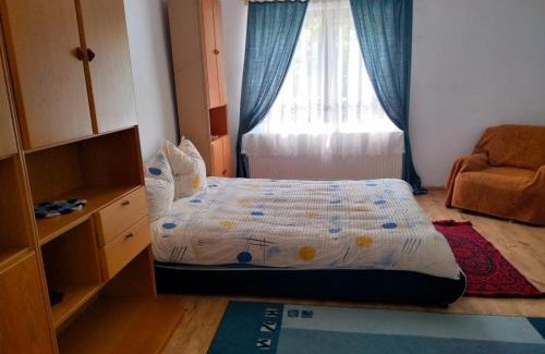 Viseu de Sus House | Casa Simona