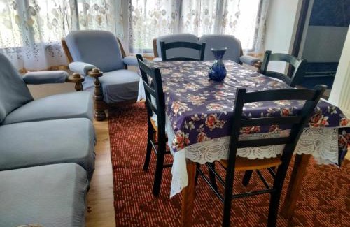 Viseu de Sus House | Casa Simona