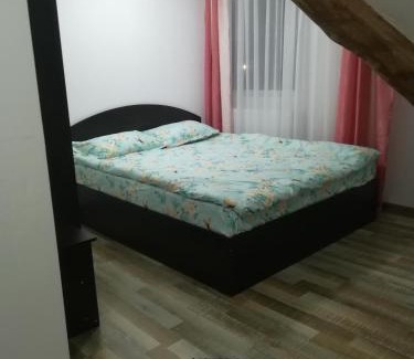 Dorna Candrenilor House | Casa Sofia Dorna Candrenilor