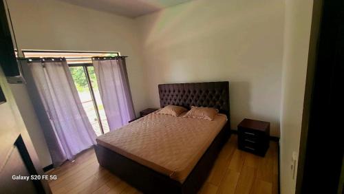 Coyolar House | Casa Stega