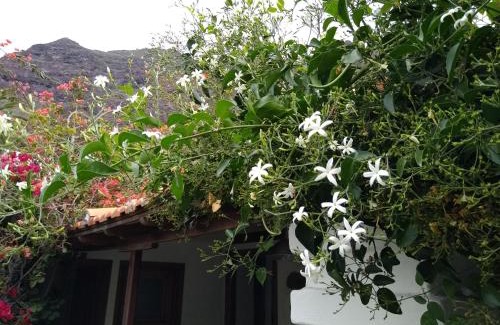 Valle Gran Rey House | Casa Tigot