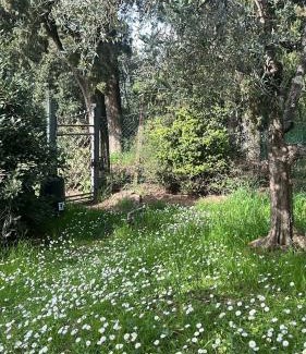 Pieve al Bagnoro House | Casa Travi