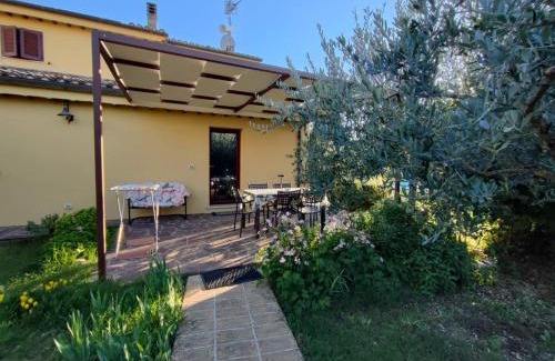 Pietrauta House | Casa Vacanze "Dimora Quercia" - Appartamento "Oliva"