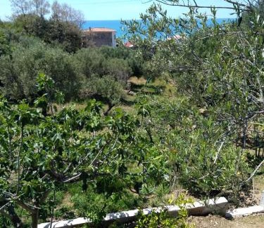 Marina di Pisciotta House | CASA VACANZE THALIA - PISCIOTTA/PALINURO