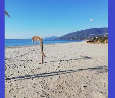 Marina di Pisciotta House | CASA VACANZE THALIA - PISCIOTTA/PALINURO