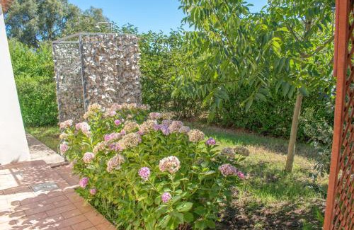 Tortoli Apartment | Casa vacanze Tortoli'