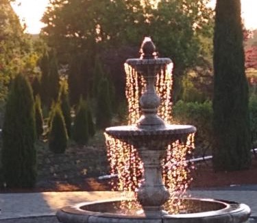 Forest Grove Bed & Breakfast | Casale