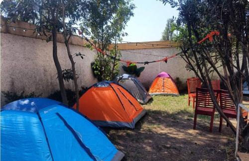 Tlahuac Other | casas de campaña para Dia de Muertos