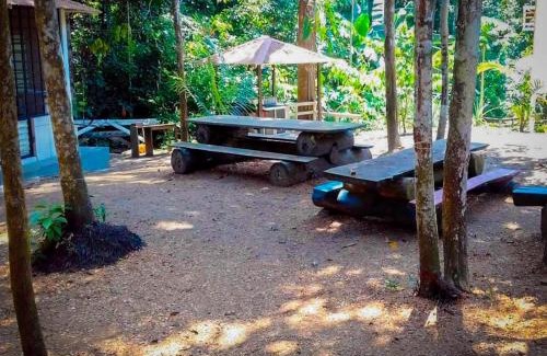 Novo Airao House | Casatemporada Piquiá