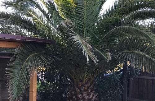 San Vincenzo Apartment | Casetta alla Caduta