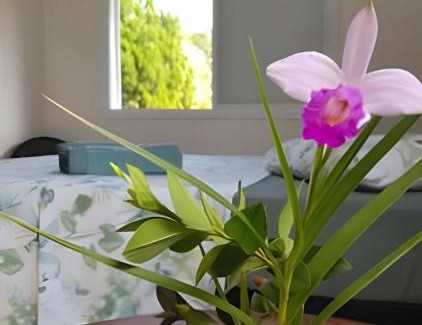 Quinta do Guarau House | Casinha Pé na Areia