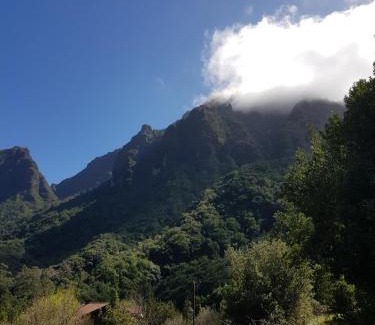 Sao Vicente Cabin | Casinhas da Laurissilva