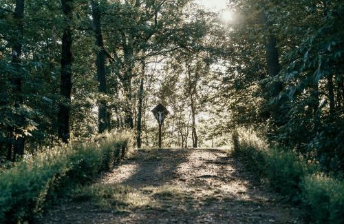 Pasturana Apartment | Castello di Pasturana