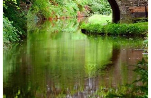 Llanvair Kilgeddin House | Castle Court. In the Heart of Monmouthshire & Wye Valley to explore.