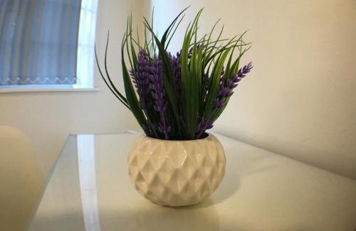 Dudley Apartment | Castle Terrace (B3 R4)