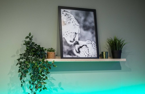 Manchester Apartment | Castlefield Luxury Apartment - Roof Garden