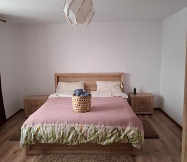 Lopatari House | Casuta de sub munte