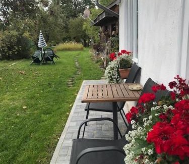 Covasna House | Casuta Sanatatii