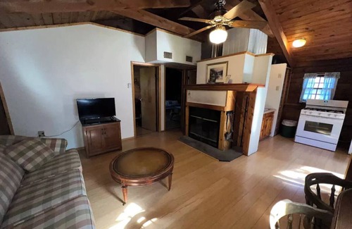 Oliverea Cabin | Catskill Cabin with Fireplace 2 br