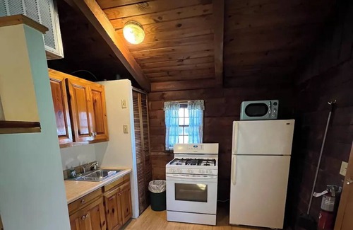 Oliverea Cabin | Catskill Cabin with Fireplace 2 br