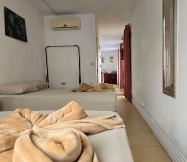 Monteverde Apartment | Cattleya Sunset. Lugar ideal para despejarse.