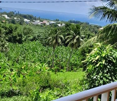 Capesterre-Belle-Eau Apartment | Caza Belo