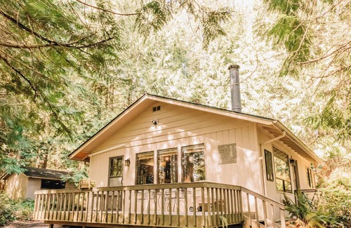 Port Ludlow Cottage | Cedar Grove Cottage: A Truly Magical Forest Retreat