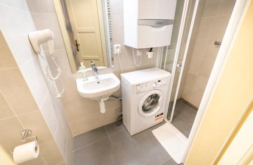 Stare Mesto Apartment | Celetná - Old Town Residence