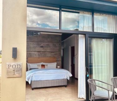 Robertson Apartment | Cellar Pods Blue