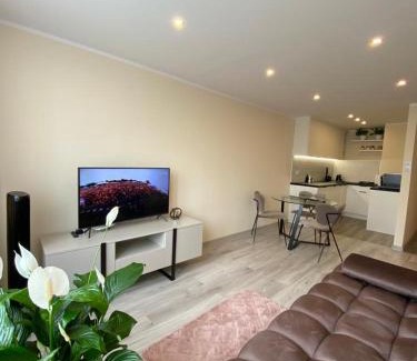Katowice Apartment | CENTRAL Apartament Katowice/Spodek