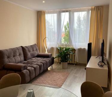 Katowice Apartment | CENTRAL Apartament Katowice/Spodek