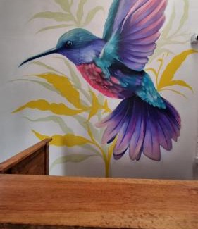 Zona 10 Hostel | Central Hostel Reforma